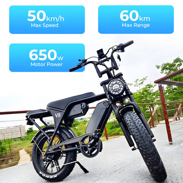 OLLKY - Electric Fat Tire Bike - 750W Fatbike